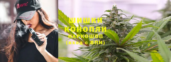 кокс Белокуриха