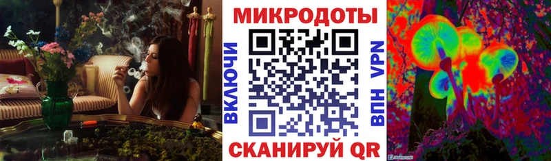 Галлюциногенные грибы мухоморы  закладка  Гай 