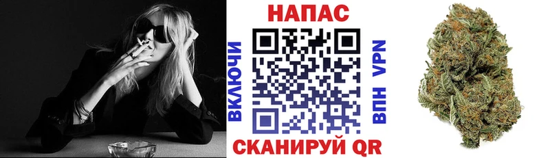 маркетплейс телеграм  Гай  Бошки марихуана план 